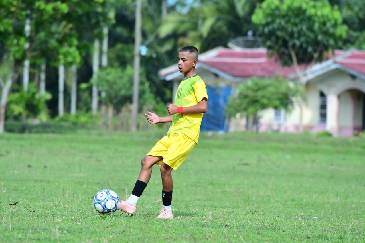 Foto Naldo fistar dameima purba